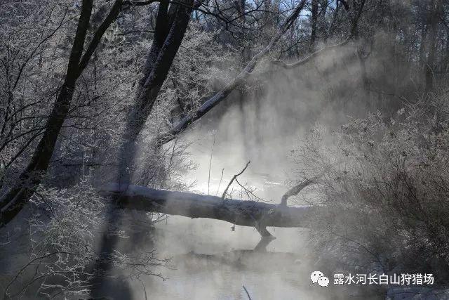 唱跳出名的孟美岐跻身演艺圈，为何频频被央视点名造成演艺圈人设崩塌？