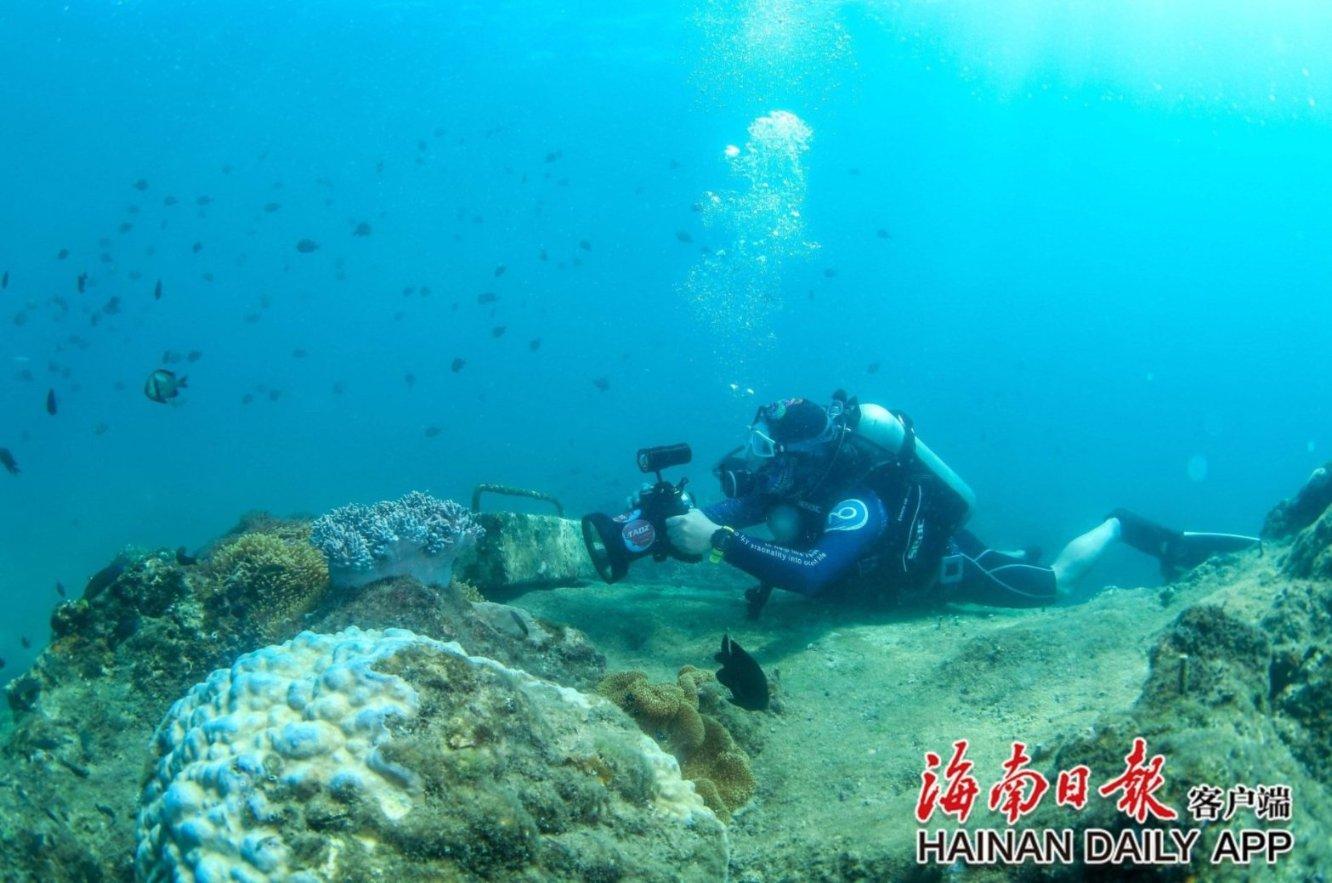 救援花卉销售员